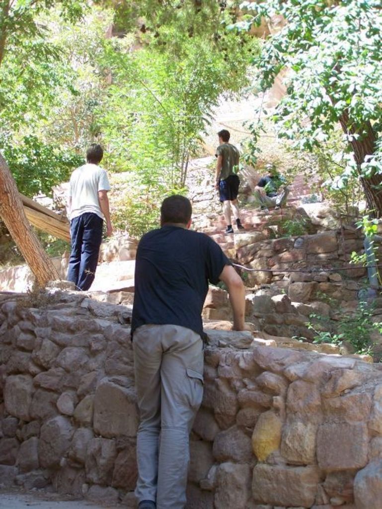 Fig. 8: A small brake while carrying stuff, admiring the beautiful garden behind Nazzal’s camp (photo: S. Hoffmann)