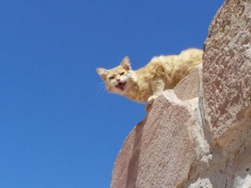 Fig. 44: One reason for the excellent preservation of the az-Zantur mansion over the years is the sophisticated guarding system (photo: S. Hoffmann)