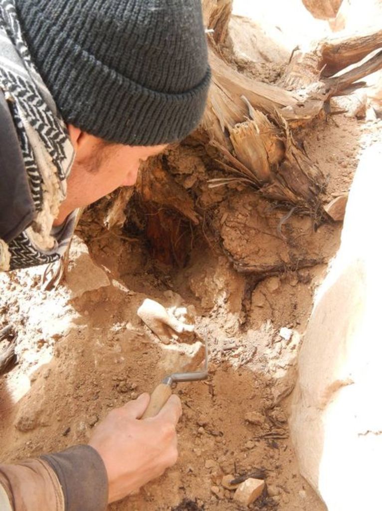 Fig. 42: Will Kennedy carefully excavating a small marble hand.