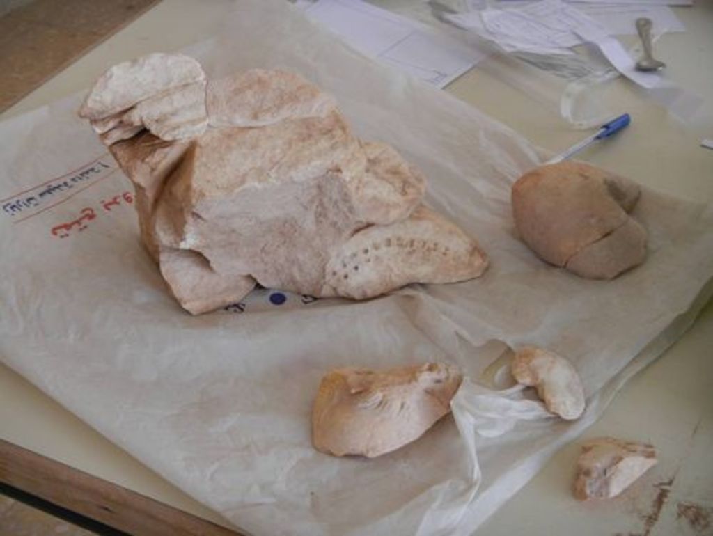Fig. 47: Parts of a marble statue of a boy holding a water jar, once decorating the bathing installation on Umm al-Biyara.