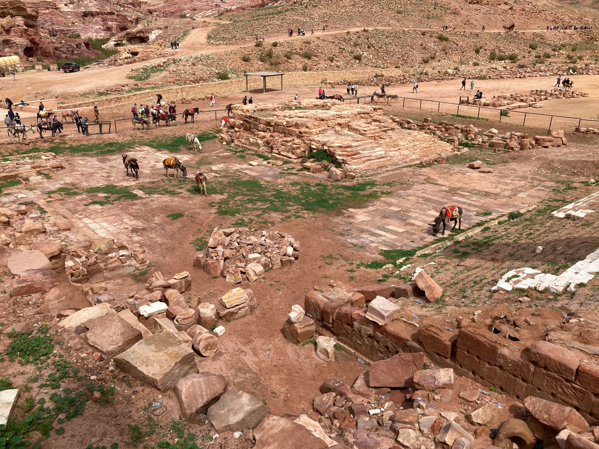 Fig. 8: View of the area in front of Qasr al-Bint with donkeys grazing in the locked area (photo: André Barmasse).