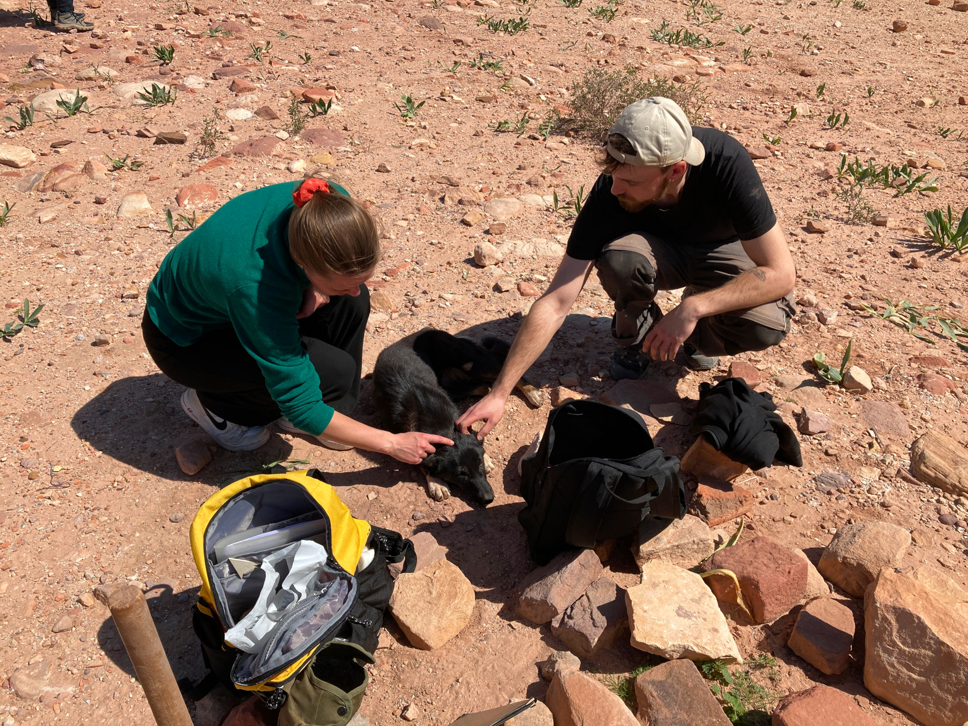 Fig. 22: Josephine Klatt and Niklas Jungmann caressing our new excavation guard dog (photo: André Barmasse).