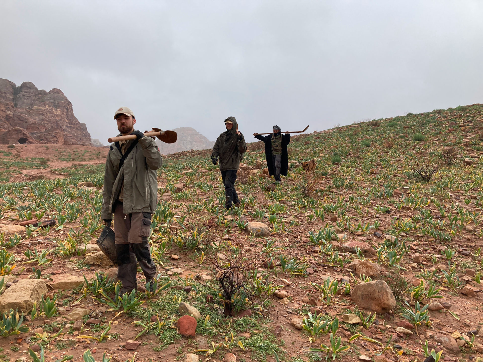 Fig. 37: Rainy and cold weather again in Petra, but «The Backfillers» fullfilled their duty at sounding 2 (photo: André Barmasse).