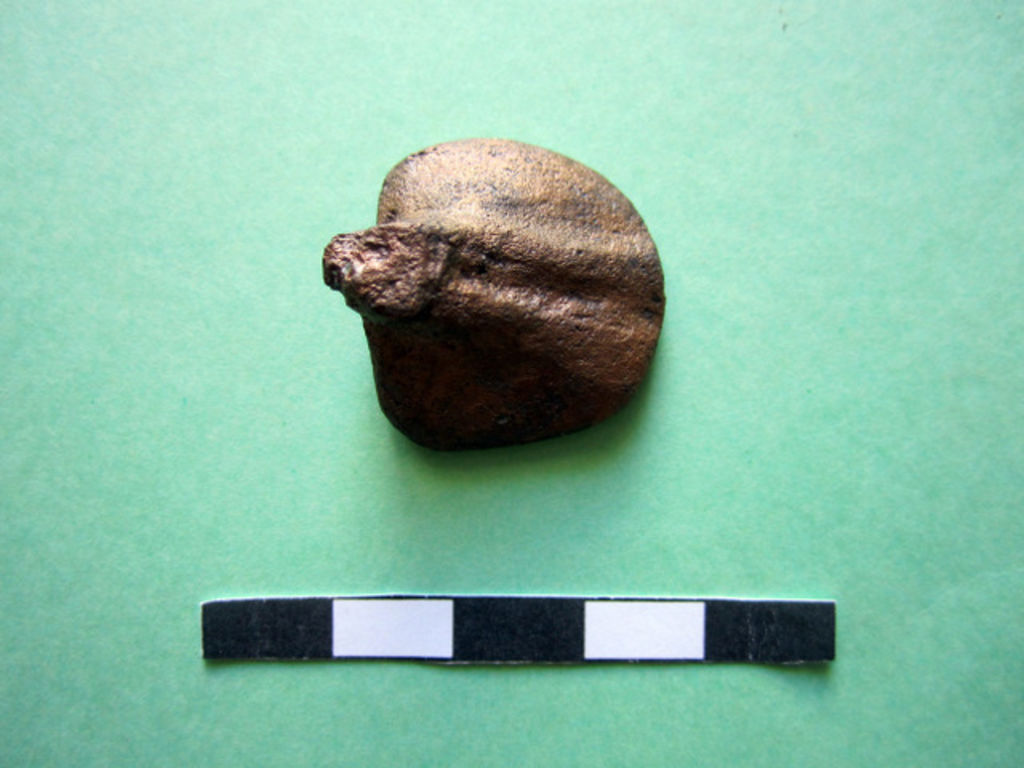 Fig. 23: Bronze camel foot from arcosolium grave, Tomb 779 (photo: L. Wadeson)