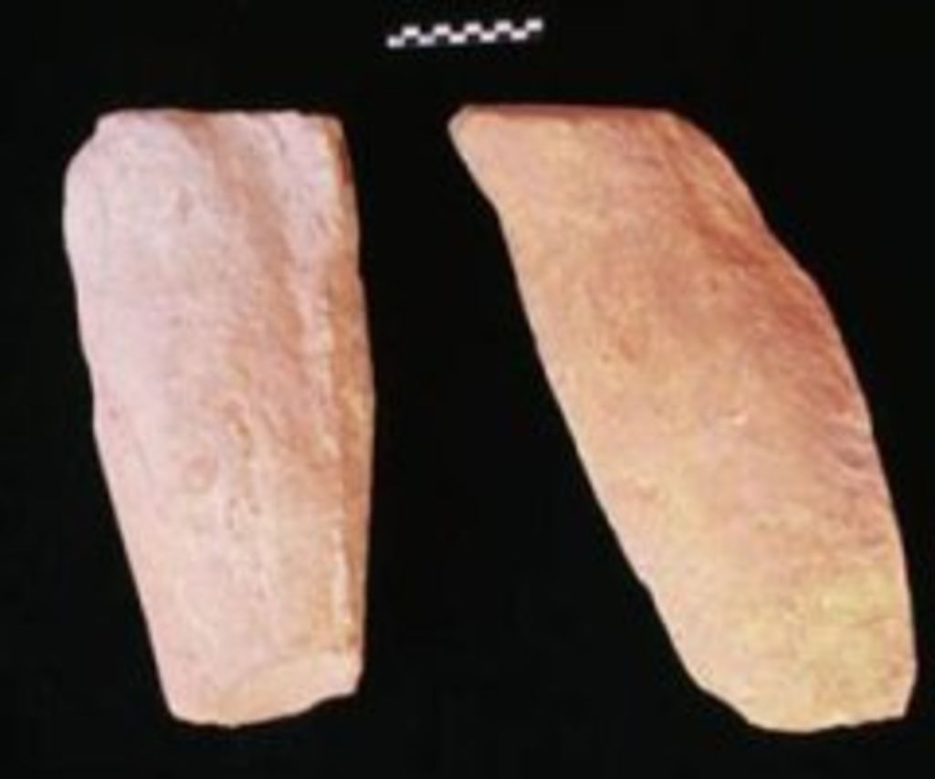 Fig. 17: Two left shanks from debris (photo: S. G. Schmid)