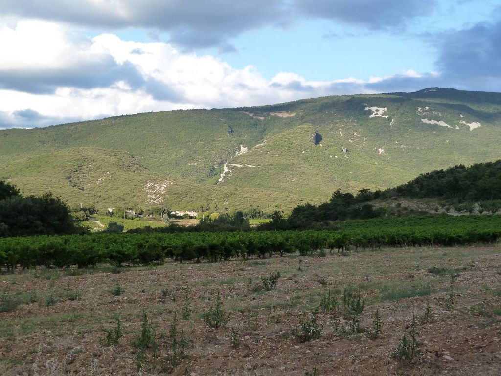 Fig. 5: Le Rocher des Aures vu de l’ouest, en arrière-plan la montagne de la Lance (photo: S. G. Schmid)