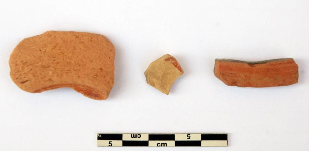 Fig. 17: Fragments de terres sigillées provenant de la ST 19 (photo: S. G. Schmid)