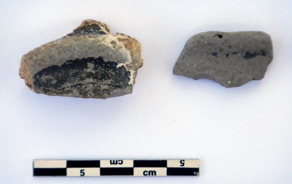 Fig. 18: Céramiques campaniennes ou dérivés, de la ST 12 (photo: S. G. Schmid)