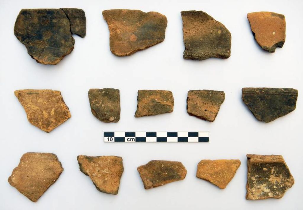 Fig. 42 : Fragments de céramiques diagnostiques de l’UF 20 (photo : S. G. Schmid)
