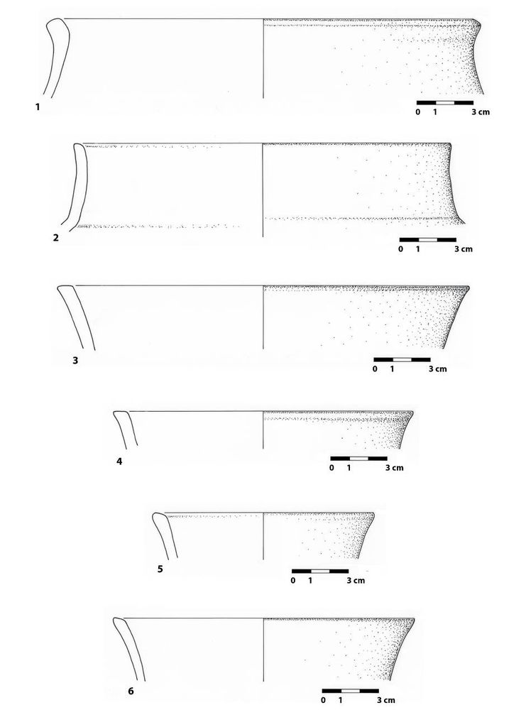 Fig. 46 : Fragments de céramiques diagnostiques de l’UF 20 (dessin : S. G. Schmid)